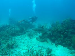 Marine Biology Trip: Day 2